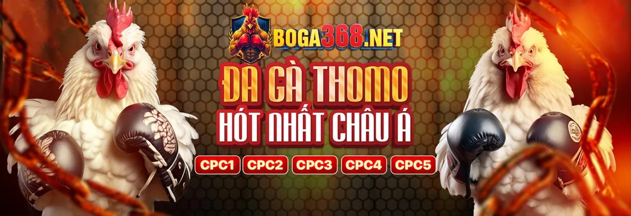Đá Gà Trực Tuyến JBO Nổ Hũ